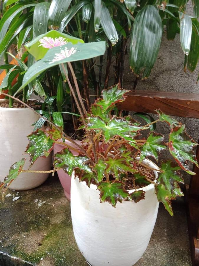 Burgos Hub Hostel Pasay Esterno foto